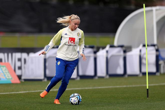 瑞典女足争夺国际杯赛胜利，雄心壮志的简单介绍