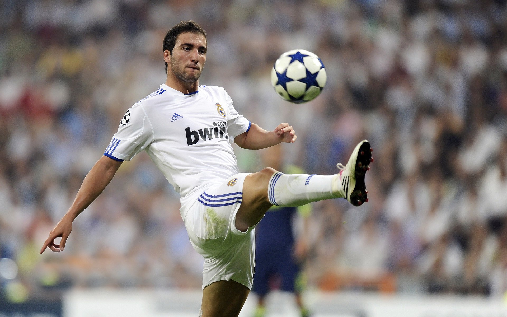 从红土炼狱到硬地烈火，兹维列夫的涅槃逆转与火热征途